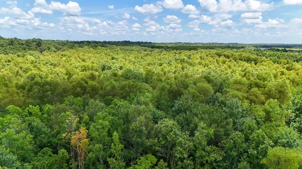 Fm 787 Cleveland, TX 77327