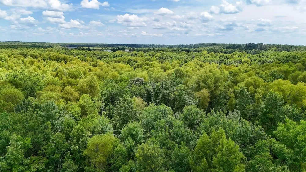 Fm 787 Cleveland, TX 77327