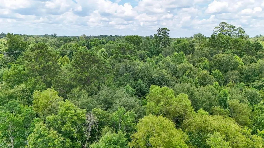 Fm 787 Cleveland, TX 77327