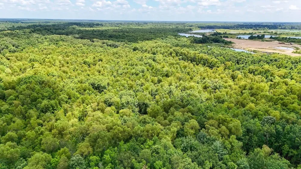 Fm 787 Cleveland, TX 77327