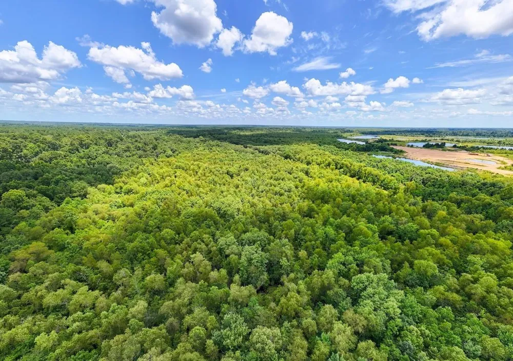 Fm 787 Cleveland, TX 77327