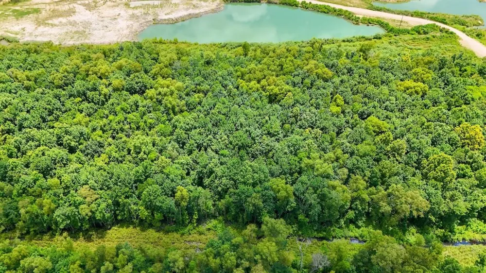 Fm 787 Cleveland, TX 77327