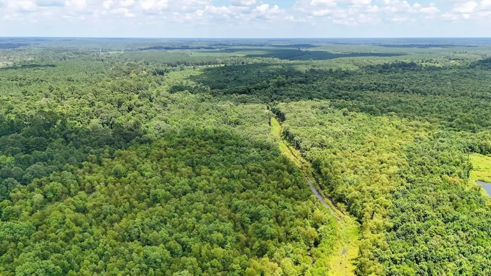 Fm 787 Cleveland, TX 77327