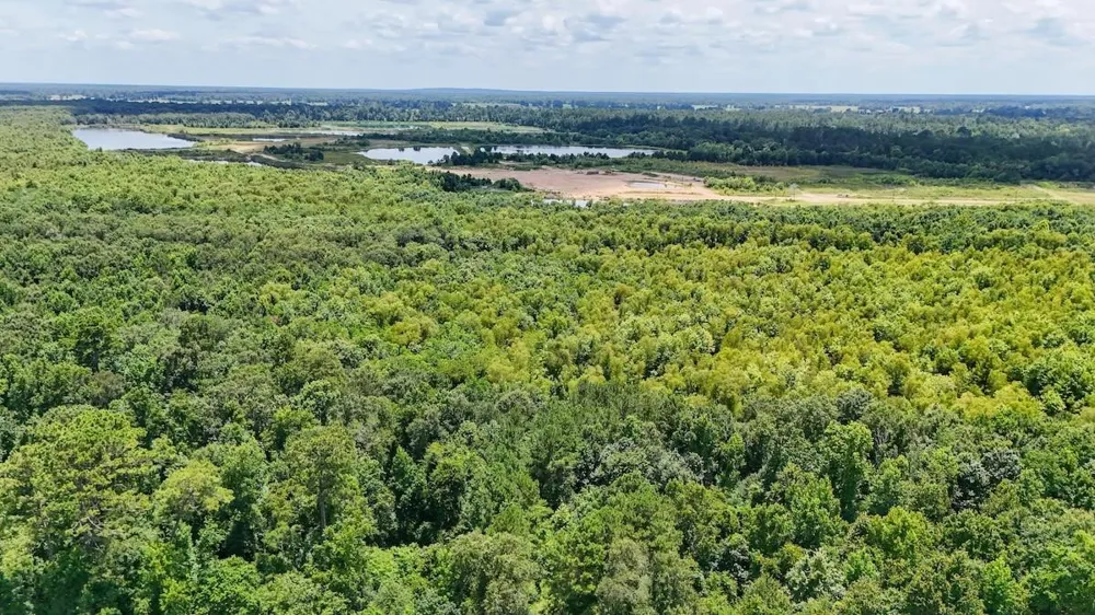 Fm 787 Cleveland, TX 77327
