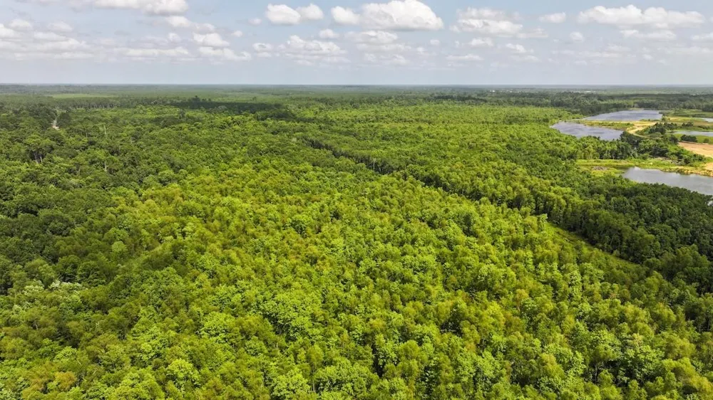 Fm 787 Cleveland, TX 77327