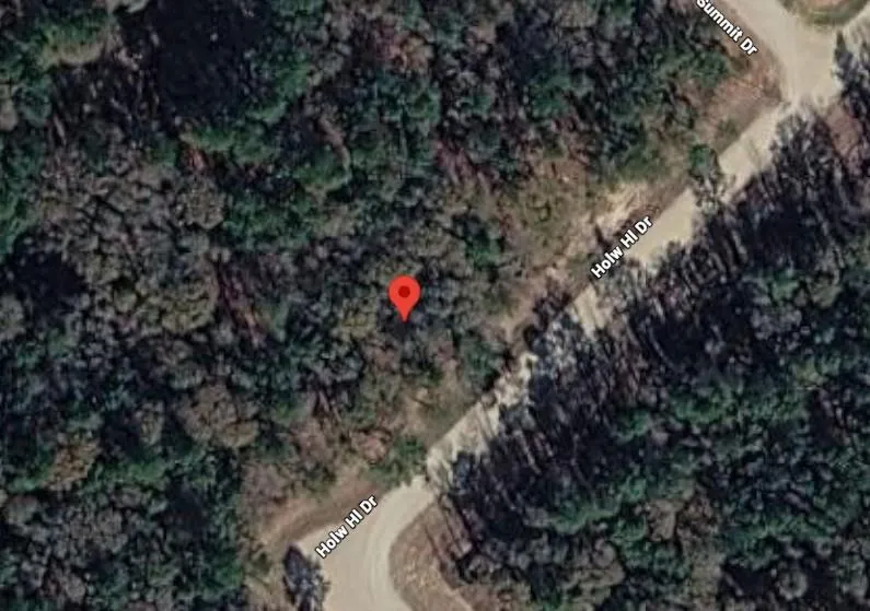 159 Hollow Hill Drive New Waverly, TX 77358