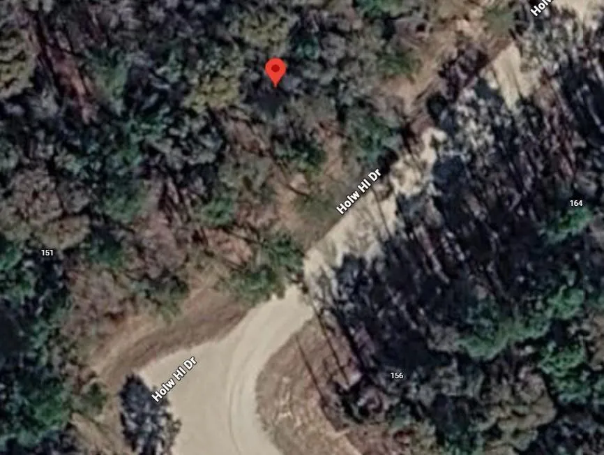 159 Hollow Hill Drive New Waverly, TX 77358
