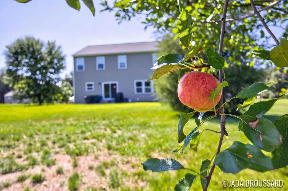 1162 Springview Court Yankee Springs Township, MI 49333