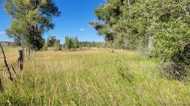 12753 13.5 Antonito, CO 81120
