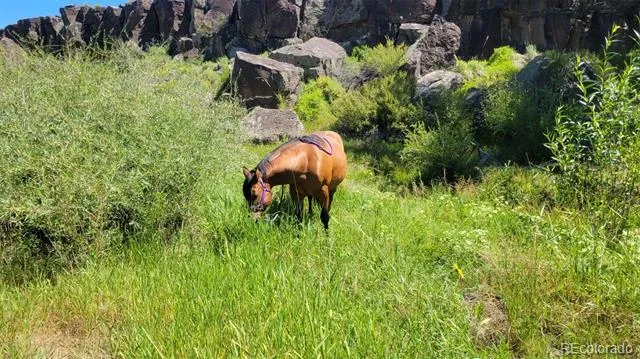 12753 13.5 Antonito, CO 81120