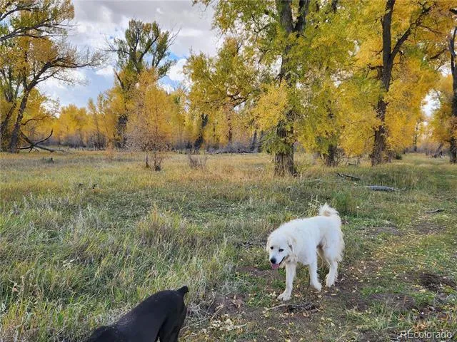 12753 13.5 Antonito, CO 81120