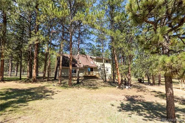 187 Arrowrock Circle Florissant, CO 80816