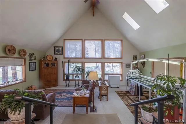 187 Arrowrock Circle Florissant, CO 80816