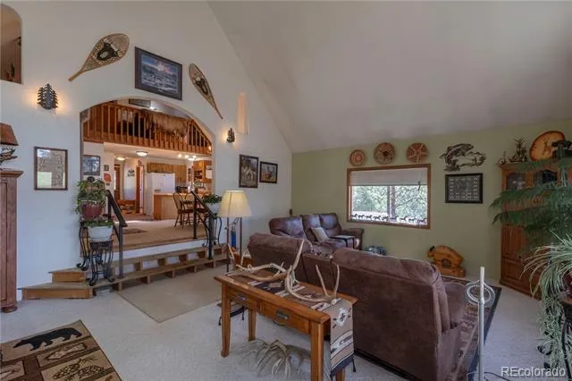 187 Arrowrock Circle Florissant, CO 80816