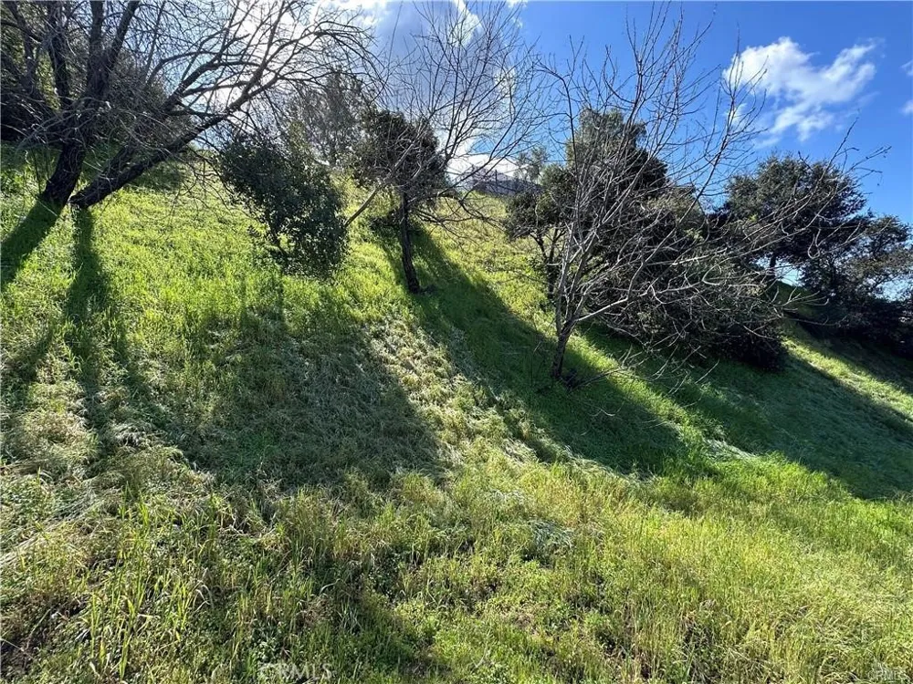 1 Mount Prospect Drive Topanga, CA 90290