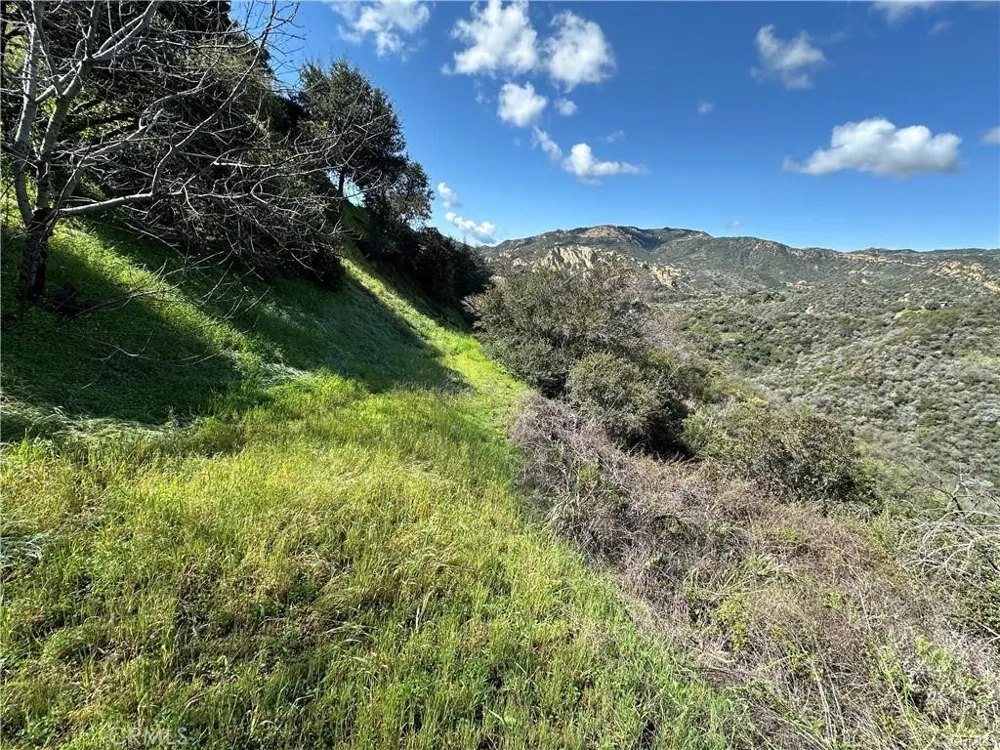 1 Mount Prospect Drive Topanga, CA 90290