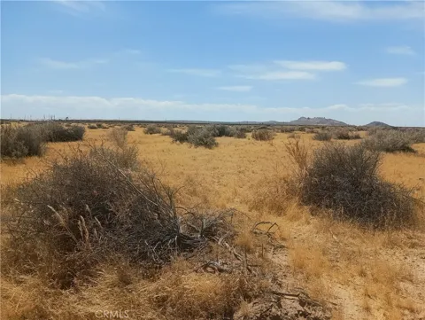 125 Old Hwy 58 (near)