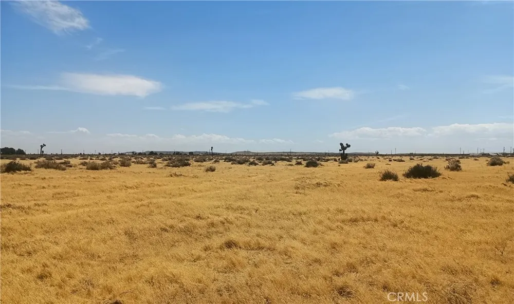 125 Old Hwy 58 (near) Boron, CA 93516