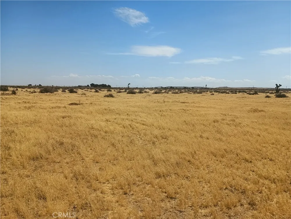 125 Old Hwy 58 (near) Boron, CA 93516