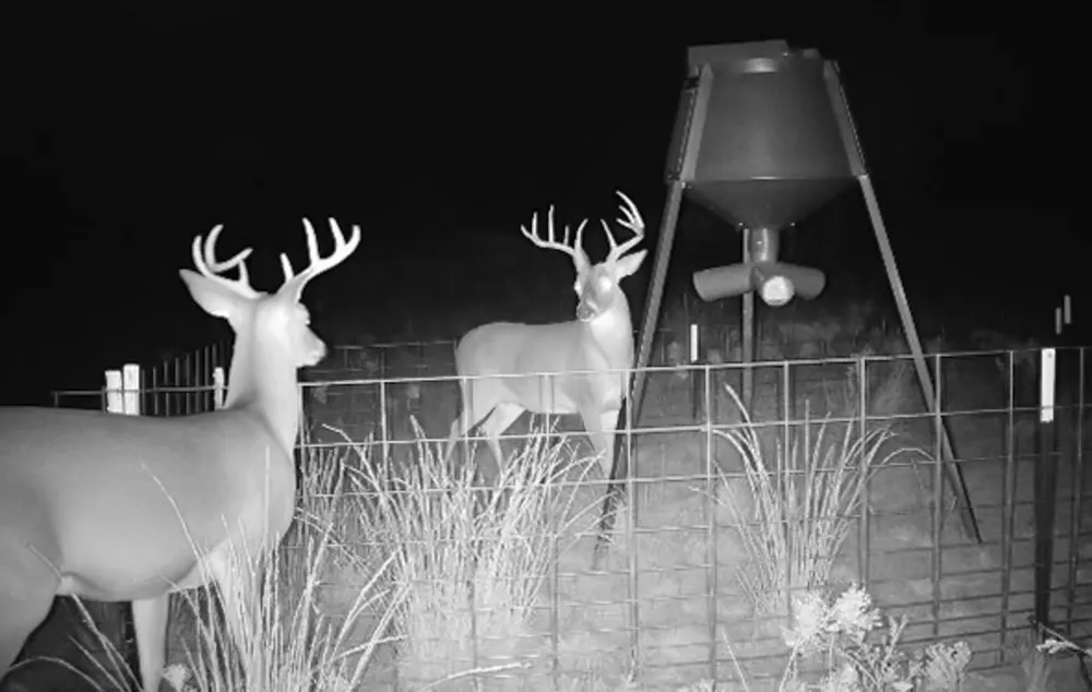 212 Ridge Creek Road Abilene, TX 79603