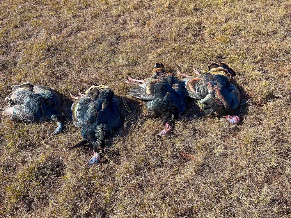 212 Ridge Creek Road Abilene, TX 79603