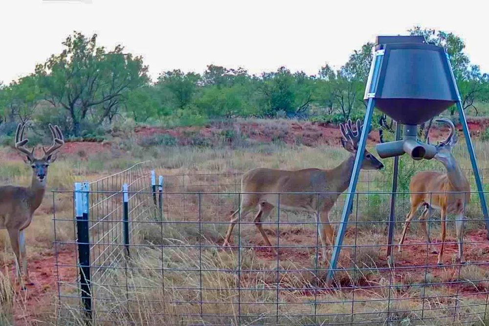 212 Ridge Creek Road Abilene, TX 79603