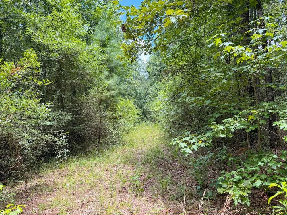 Fm 787 Cleveland, TX 77327