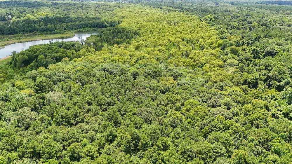 Fm 787 Cleveland, TX 77327