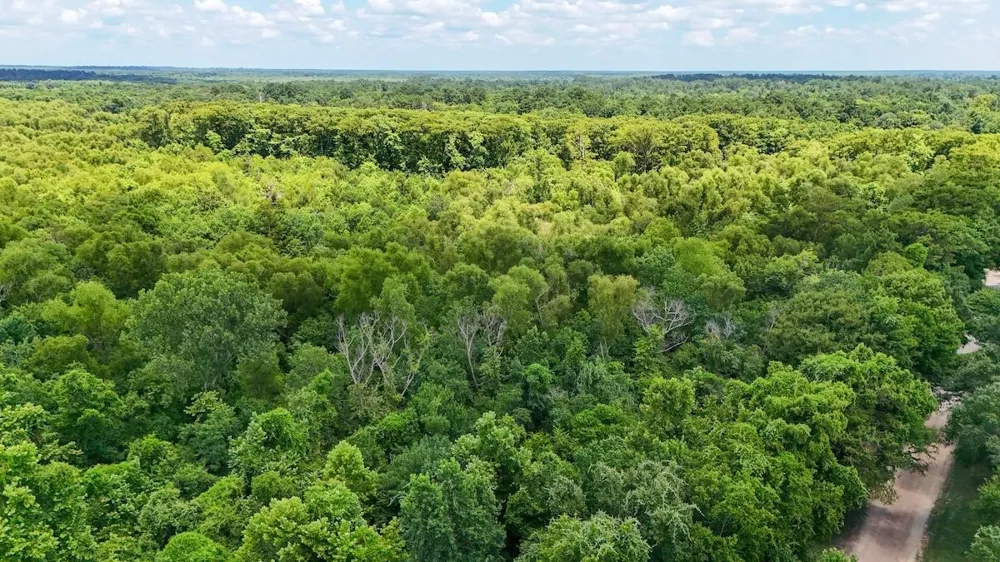 Fm 787 Cleveland, TX 77327