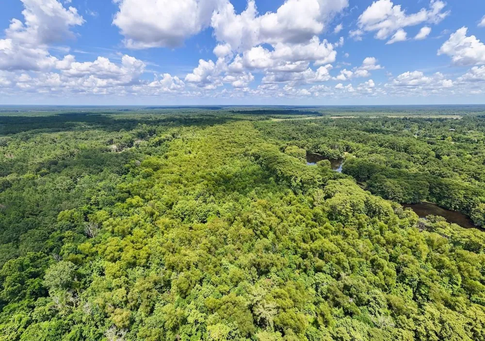 Fm 787 Cleveland, TX 77327