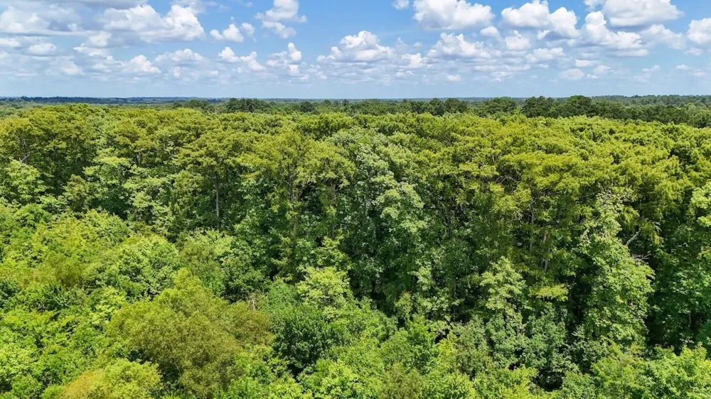 Fm 787 Cleveland, TX 77327