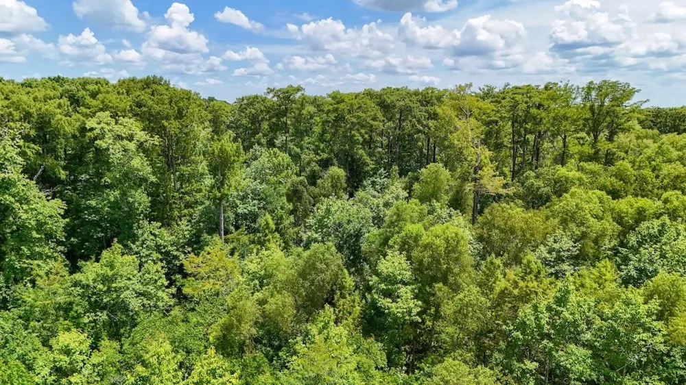 Fm 787 Cleveland, TX 77327