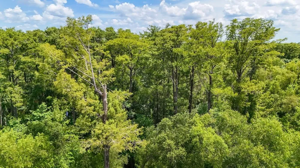 Fm 787 Cleveland, TX 77327