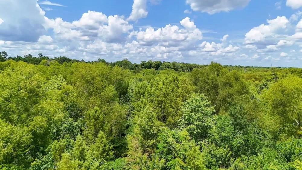 Fm 787 Cleveland, TX 77327