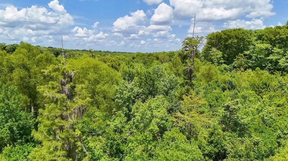 Fm 787 Cleveland, TX 77327
