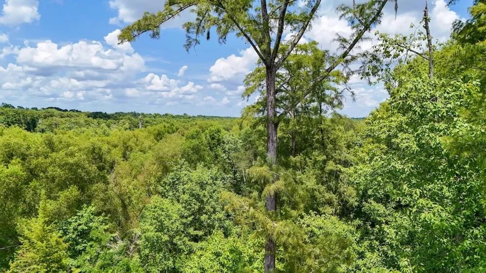 Fm 787 Cleveland, TX 77327