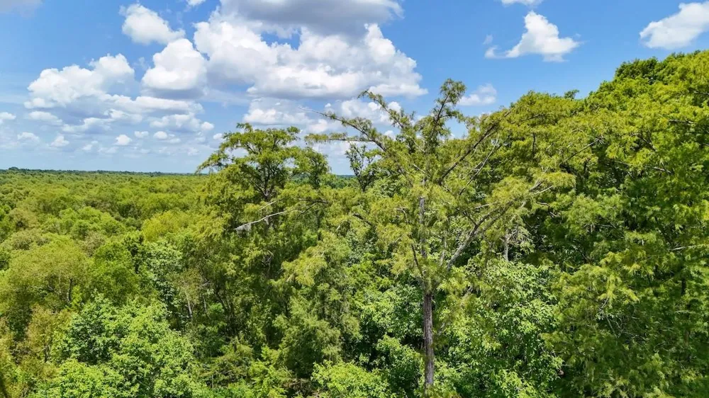 Fm 787 Cleveland, TX 77327