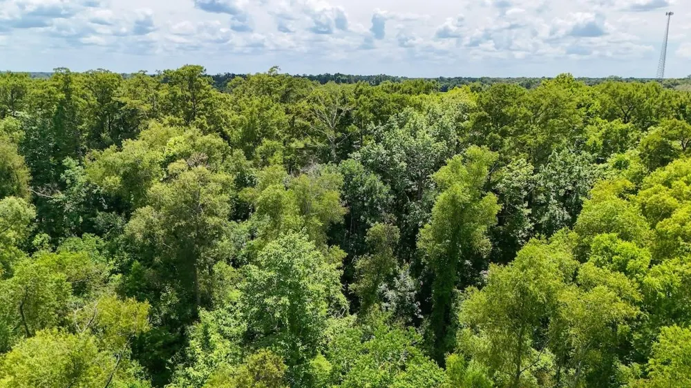 Fm 787 Cleveland, TX 77327