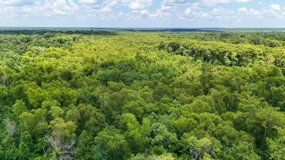 Fm 787 Cleveland, TX 77327
