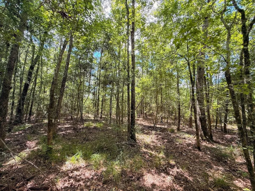 Fm 787 Cleveland, TX 77327