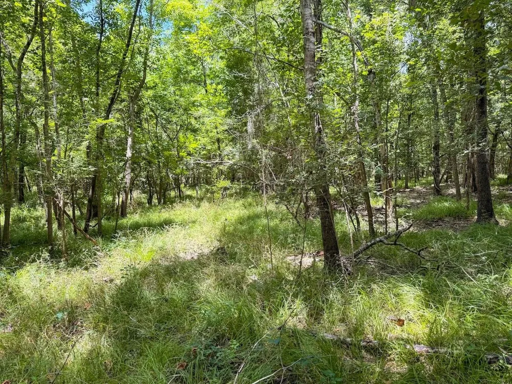 Fm 787 Cleveland, TX 77327