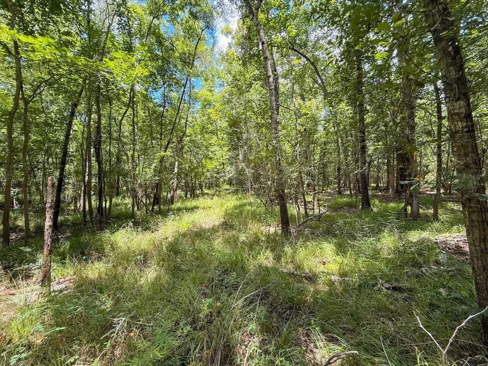 Fm 787 Cleveland, TX 77327