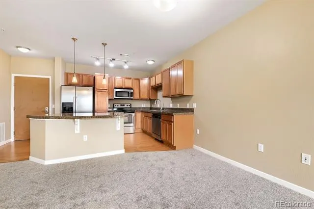 13456 Via Varra #309 Broomfield, CO 80020