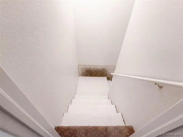 3300 Saratoga Street #C Wellington, CO 80549