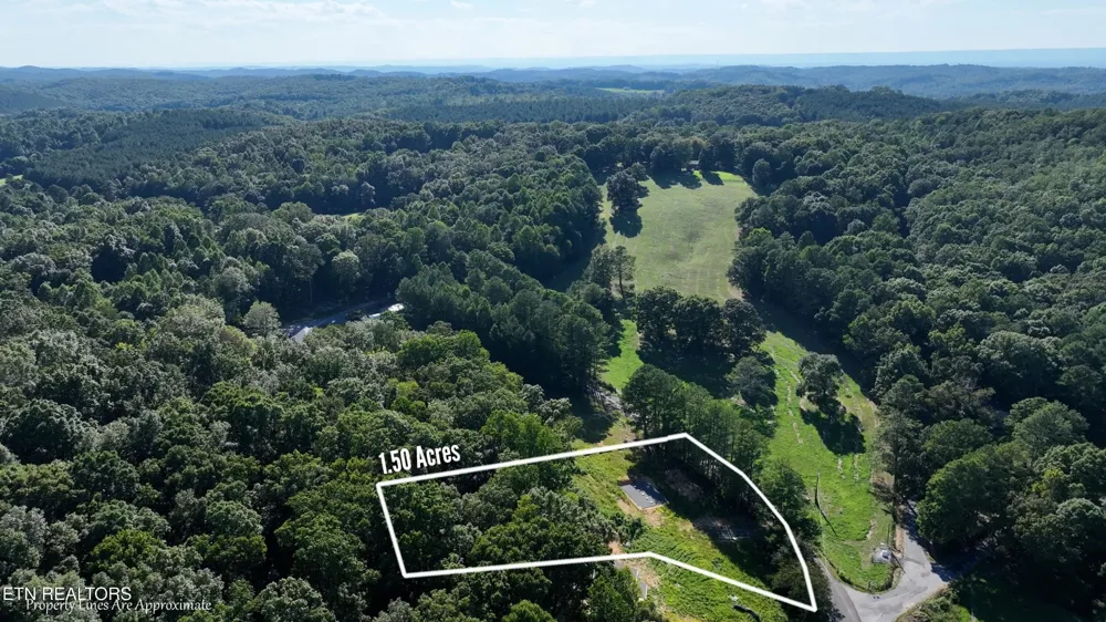 2 County Road 181 Decatur, TN 37322