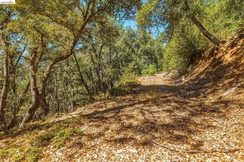 16620 Charles Otter Dr Sonora, CA 95370