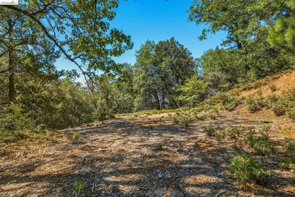 16620 Charles Otter Dr Sonora, CA 95370