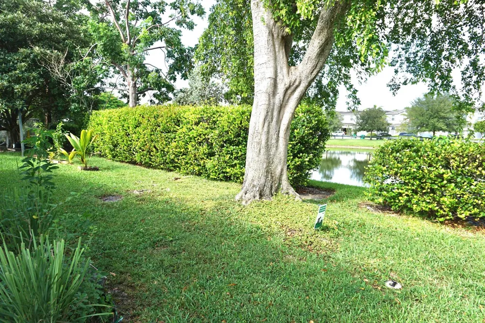 4405 NW 48th Avenue Tamarac, FL 33319