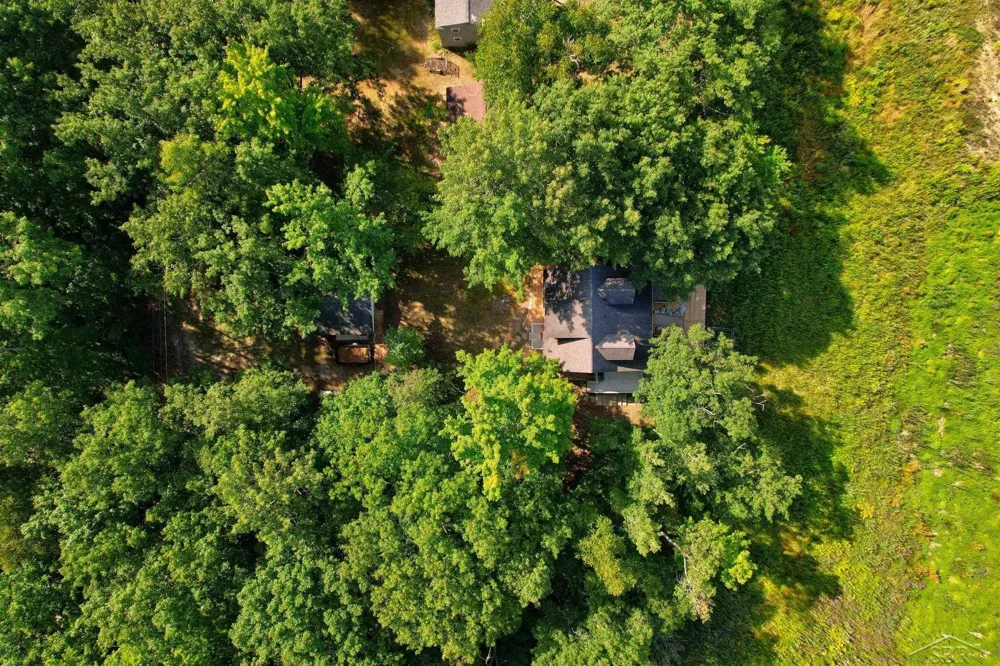 3272 Ozark Road Billings Township, MI 48612