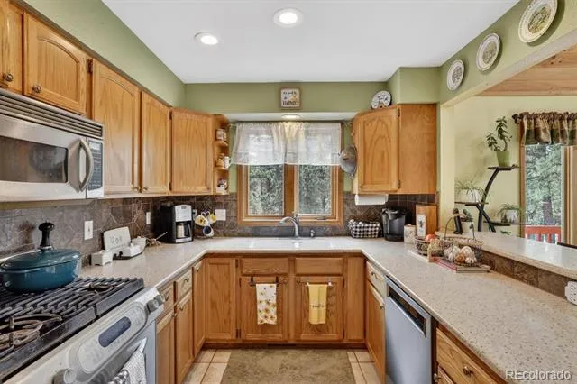 599 Vigilante Avenue Bailey, CO 80421